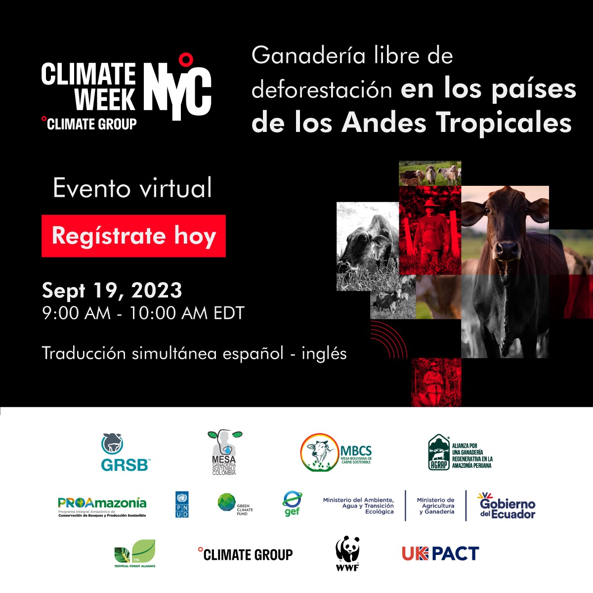 Alianza por los Bosques Tropicales tweet media