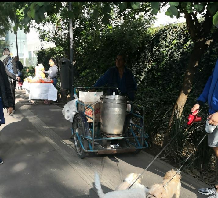 José Pablo Lanzagorta tweet media