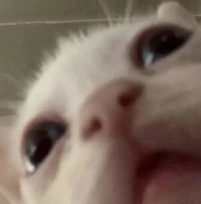 Just woke up to see that Ken Ashcorp reacted to some of my tweets? Also got a buncha new followers??

I’m so happy omg 😭💕💕 welcome y’all 🤍