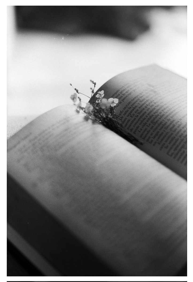 Los Celadores

Praktica super Tl3
Kentmere 100