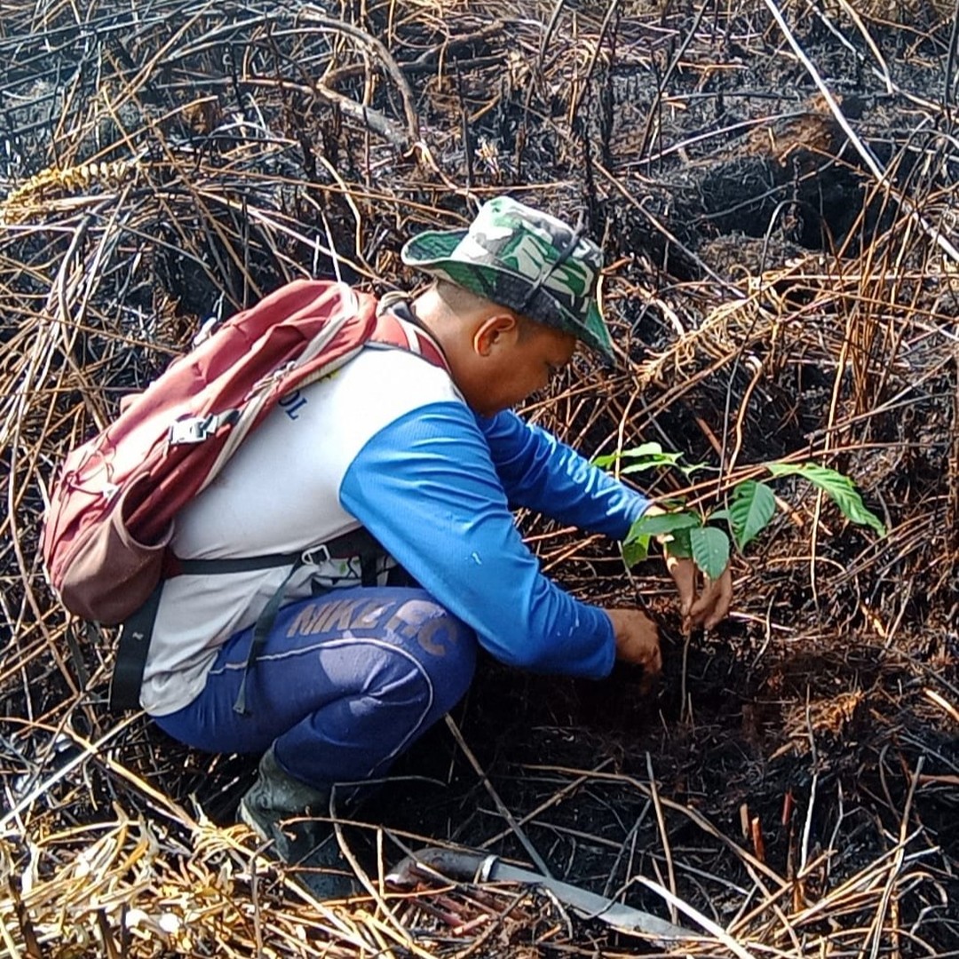 Gunung Palung Orangutan Conservation Program tweet media