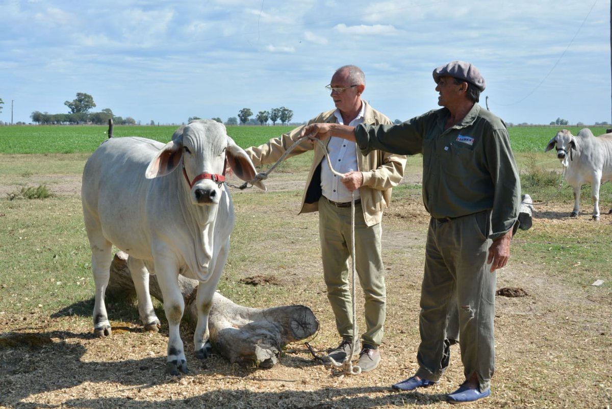 #8DeSeptiembre: Día del Agricultor y del Productor Agropecuario

Quiero saludar a todos los productores y el personal de establecimientos agropecuarios de la provincia, por su esfuerzo diario, sus convicciones y por contribuir a hacer grande a Santa Fe.