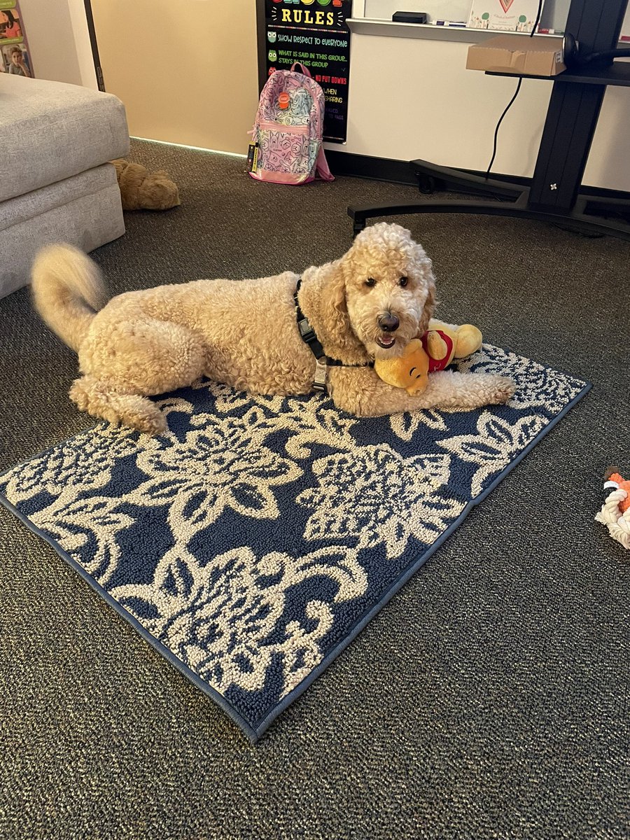 Cooper is back at work!!! <a href="/CooperFresh1/">Cooper "The Canine Counselor" Freshwater</a> <a href="/mrsfreshwater1/">Kesha Freshwater</a> <a href="/HumbleISD_OE/">Oaks Elementary</a>