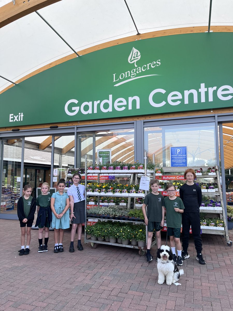 Mountnessing School tweet media