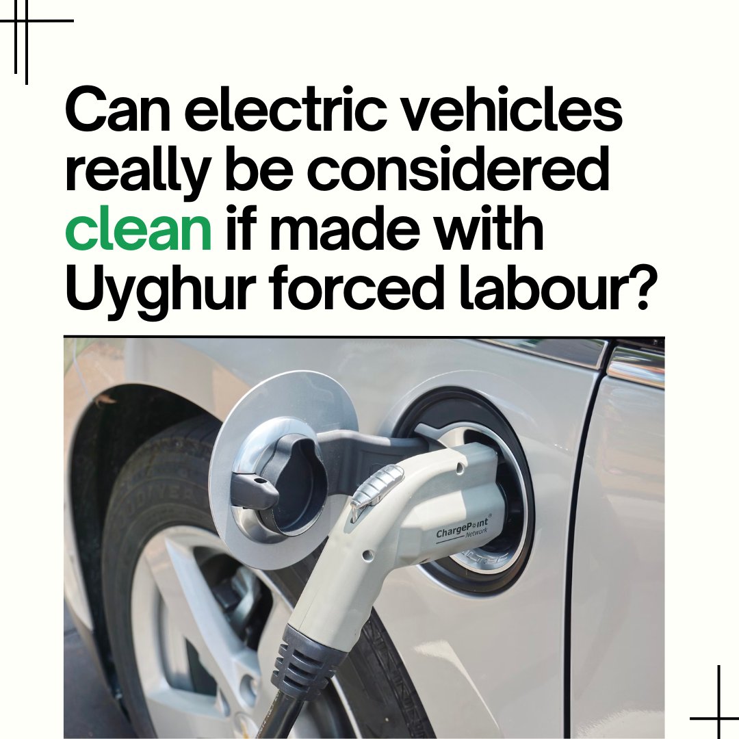 Relying on clean technology made in the Uyghur Region cannot be the norm. Companies cannot have a just transition by relying on forced labor. There is nothing 'clean' or 'just' about electric vehicles made with forced labor. #EndUyghurForcedLabor