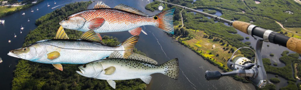 MardyFishFound's tweet image. Catch Fish To Help More Kids 🐟🎣🙂

First Annual Fundraising Fishing Tournament. All proceeds benefit at-risk youth in Indian River County!

November 4, 2023

CASH PRIZES

Sponsorships Are Available

Details and registration: mardyfishchildrensfoundation.org/fundraising-to…