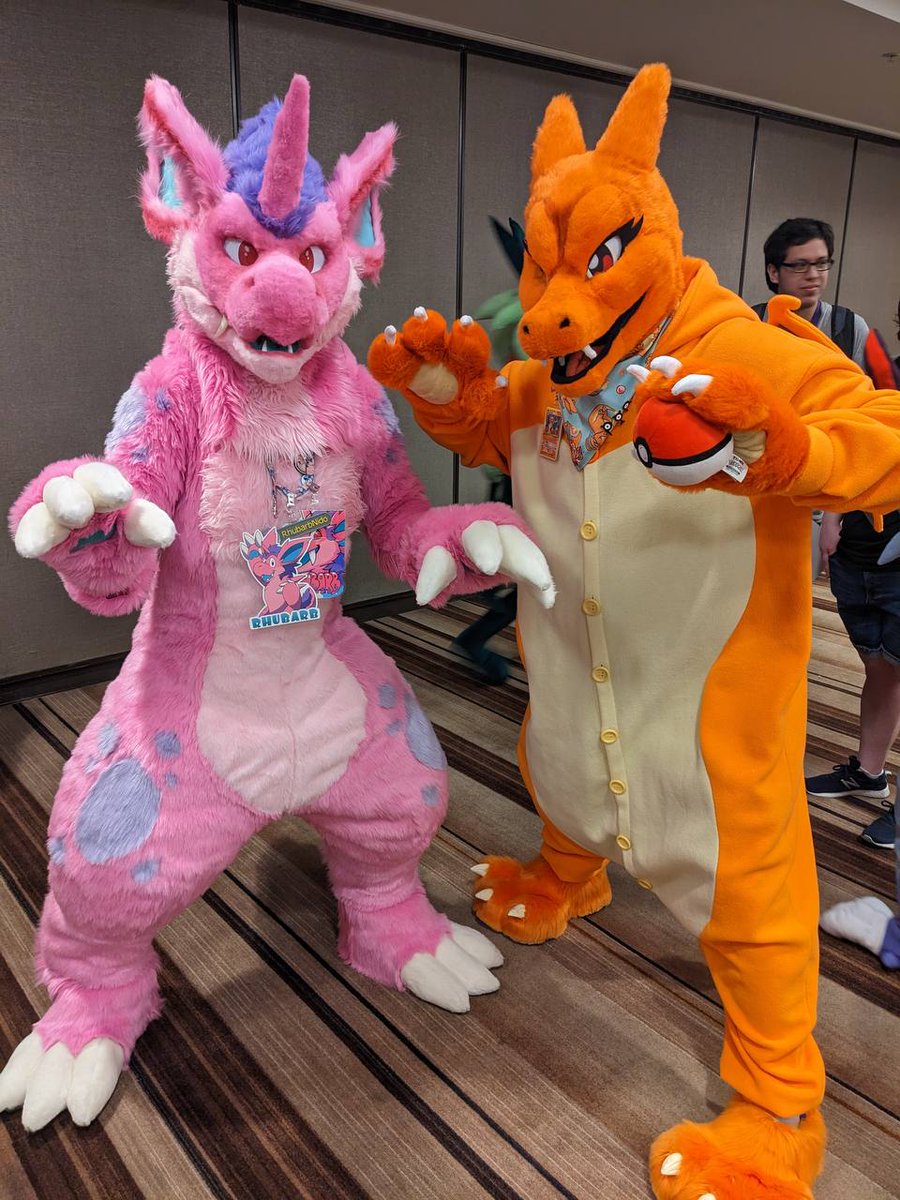 nidobun's tweet photo. A Pokémon battle commences! 
Rhubarb Nidorino VS Pyrra Charizard! #FursuitFriday https://t.co/o26AUBdNLx