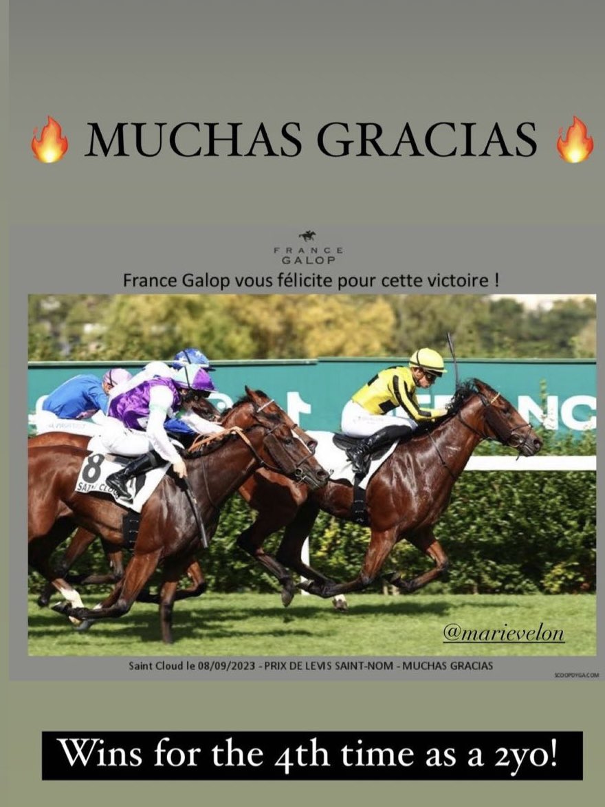 Bansha House Stables tweet media