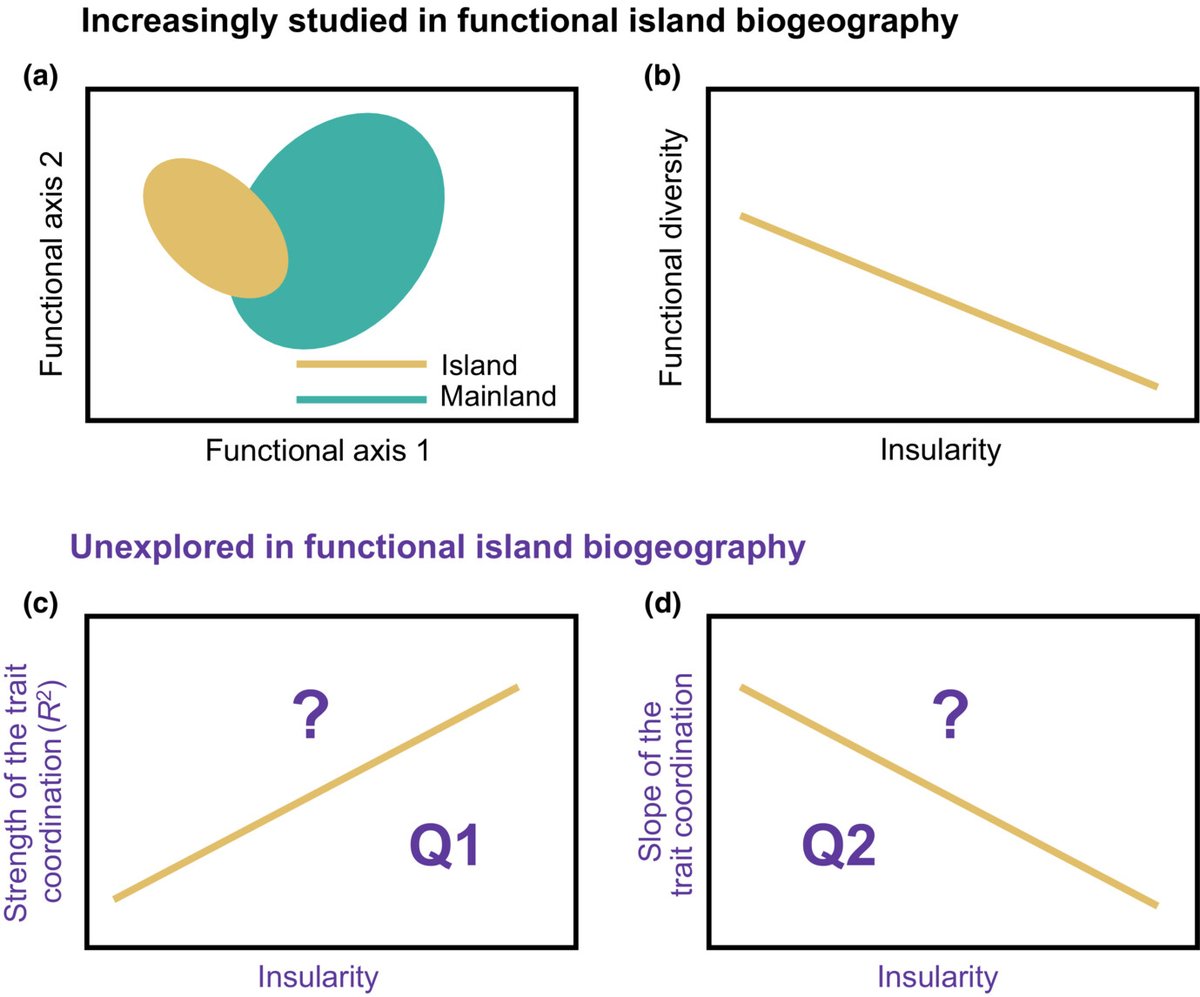 Functional island #biogeography explores how traits of organisms on islands are shaped. New framework highlights trait coordination's role, offering valuable eco-evolutionary insights. Do you want to know more? Read the perspective of Midolo et al. doi.org/10.1111/jbi.14…