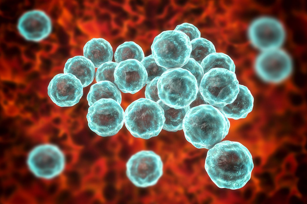 SpitCheck's tweet photo. Accurate diagnosis of #infectiousdiseases is complex due to similar symptoms from various #pathogens. #Moleculardiagnostics, driven by genetic research, offer quick, precise solutions. They detect multiple pathogens &amp; analyze #drugresistancegenes, vital for #earlydiagnosis. https://t.co/DAHVSzEfbf
