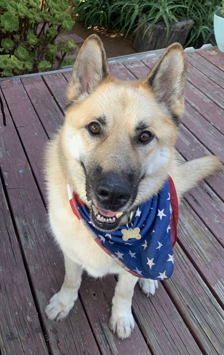 Jennifer Hall tweet media