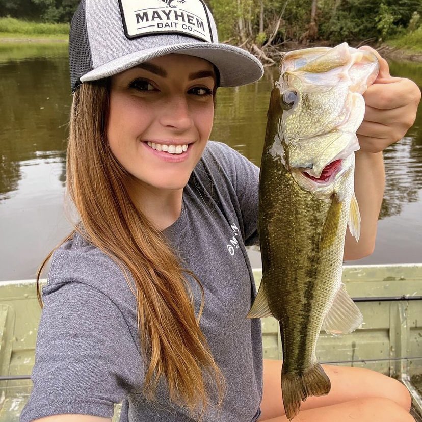 Liquid Mayhem tweet media