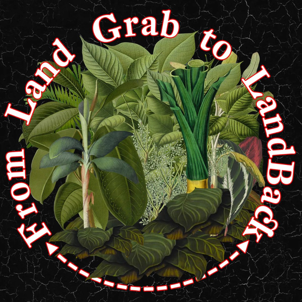 From Land Grab to Landback es un simposio que vincula la arquitectura a preguntas urgentes sobre la tierra, el territorio, la propiedad, la soberanía, la ecología y la vida. Mujer y Género 
UPR-RP; El Hangar en Santurce; Organización Can; Colectiva Feminista en Construcción...
