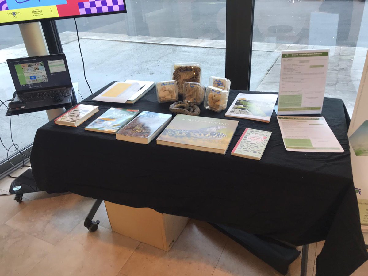 La SHF est présente au "Forum sécurité" organisé par la SNCF, à destination de ses agents 👍🐍
✅ L'objectif ? Tordre le cou aux idées reçues concernant les serpents et répondre aux questions des agents qui en rencontrent régulièrement dans le cadre de leur travail.