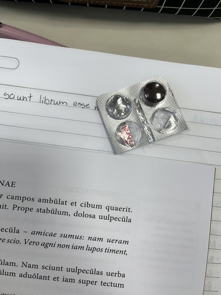 malisarchive's tweet photo. material escolar 2023 pra aula de latim❤️ https://t.co/hkUqOcxruD