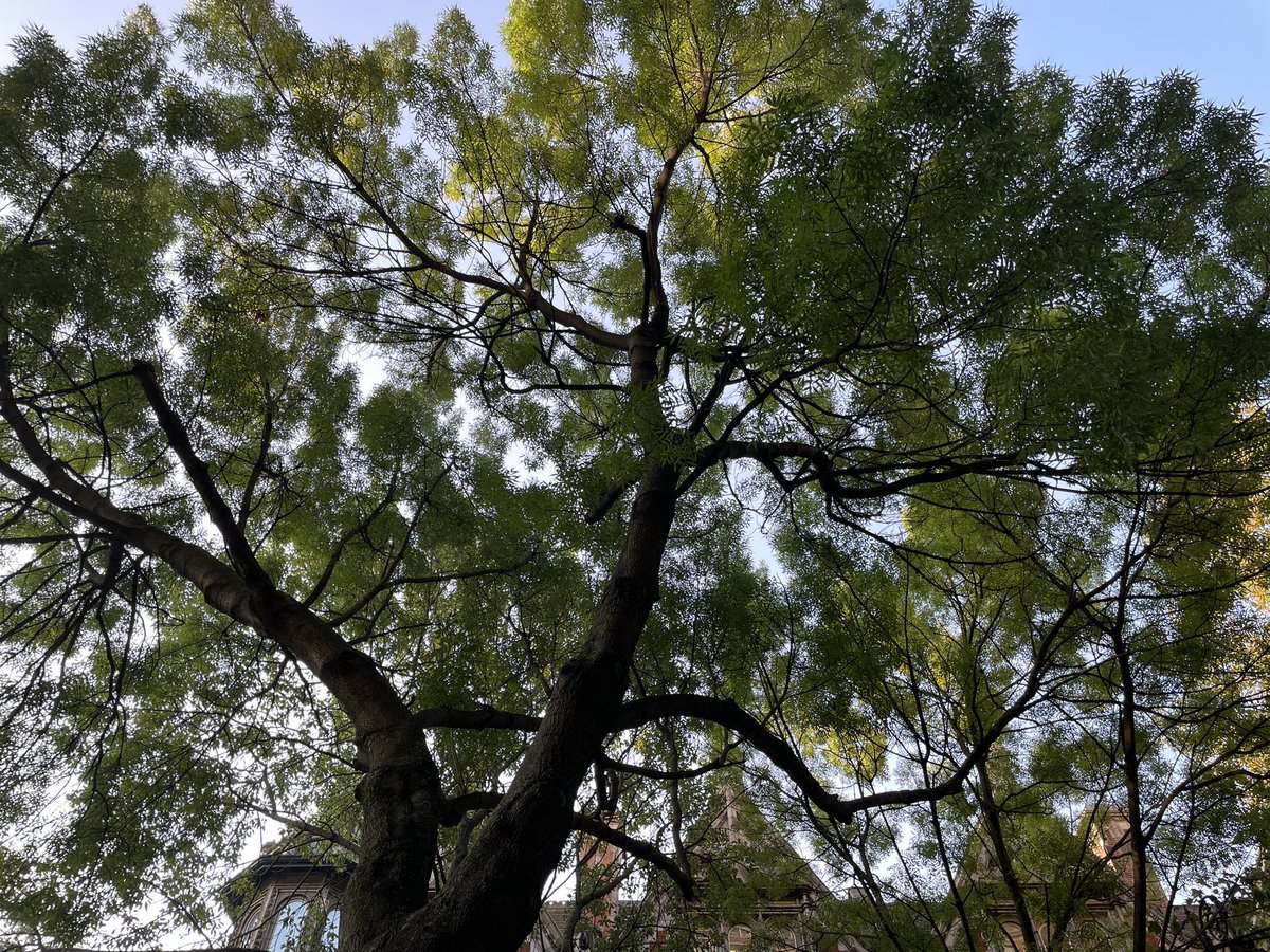 Julia Rieder tweet media