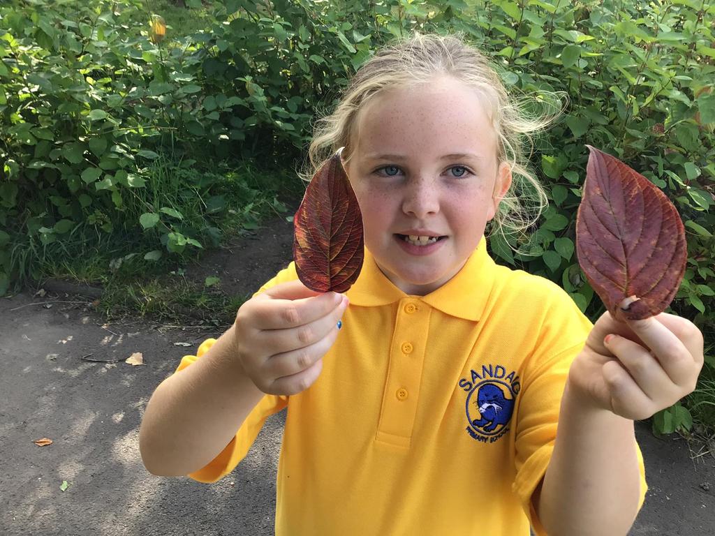 sandaigprimary's tweet photo. P4/3 had a wonderful time visiting the park after their walk of #Barlanark. Their topic this term is letting them explore their surroundings! https://t.co/NLkvIvQWhO