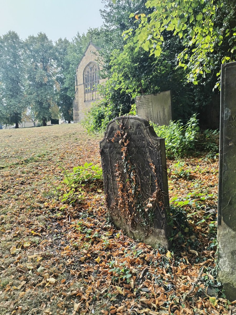 Hal Grayson tweet media