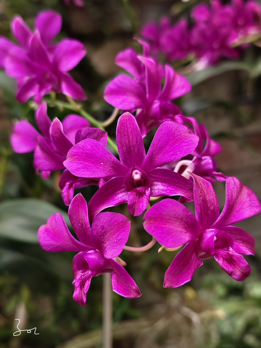 Happy Friday everyone 🌸