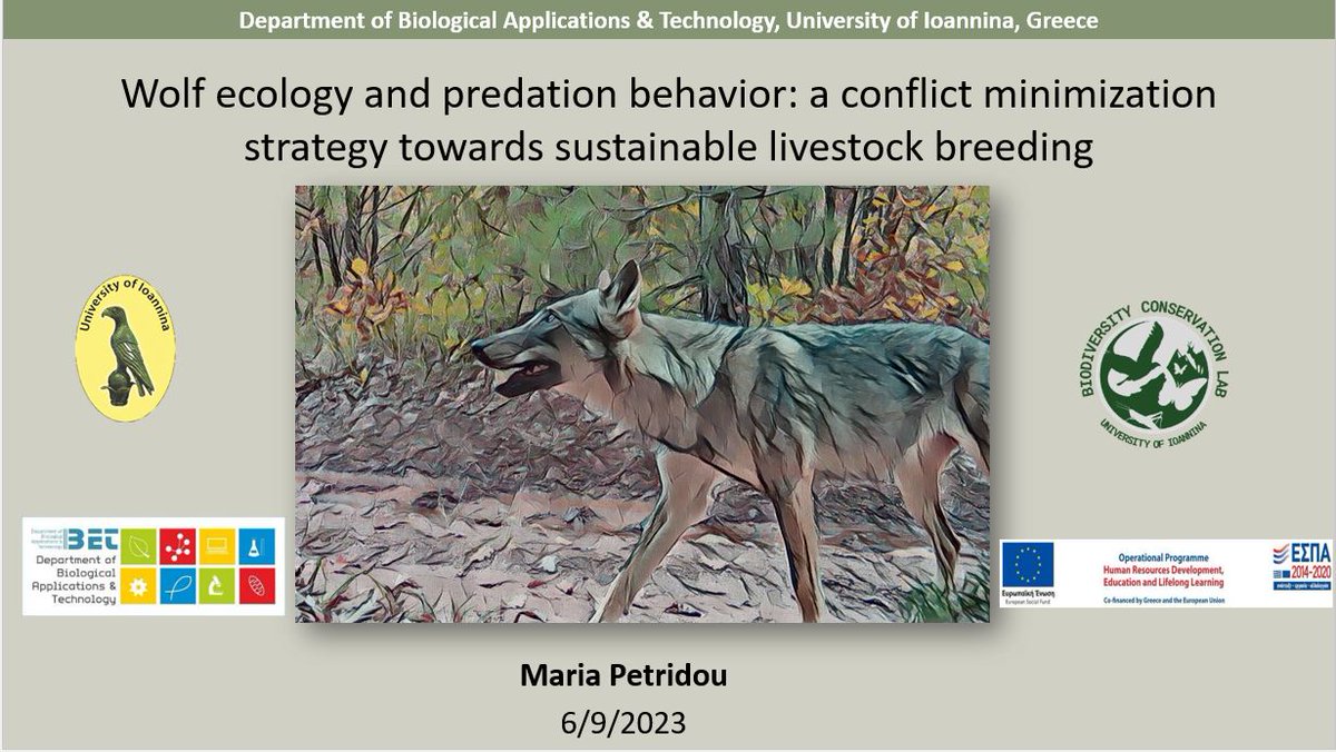 Maria Petridou tweet media