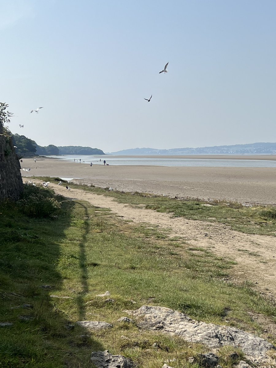 Sometimes you just need to take a moment to breathe and listen to nature. #arnside