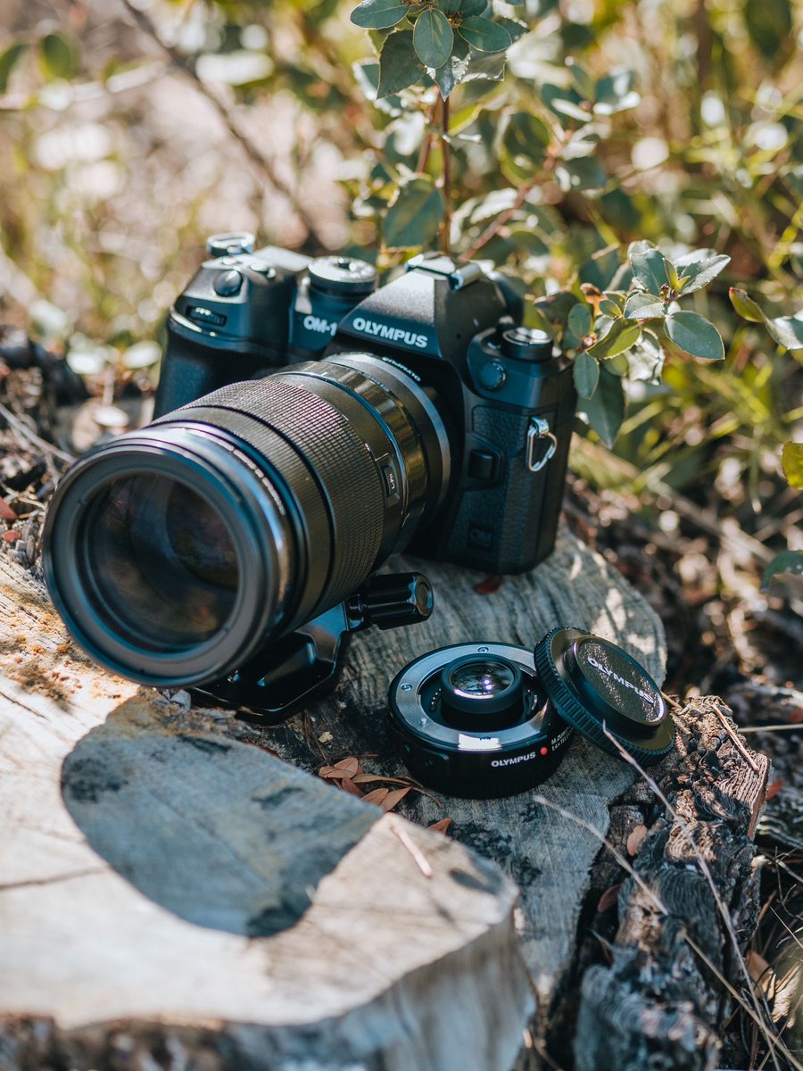 Ahora al comprar el M.Zuiko Digital ED 300mm F4 IS PRO, el 40-150mm F2.8 PRO o el 100‑400mm F5.0‑6.3 IS te regalamos un Teleconvertidor Digital 1.4× MC-14 y al registrarlo, te damos  5 años de garantía total ampliada.  

explore.omsystem.com/es/es/mc14-con…

#OMSYSTEM