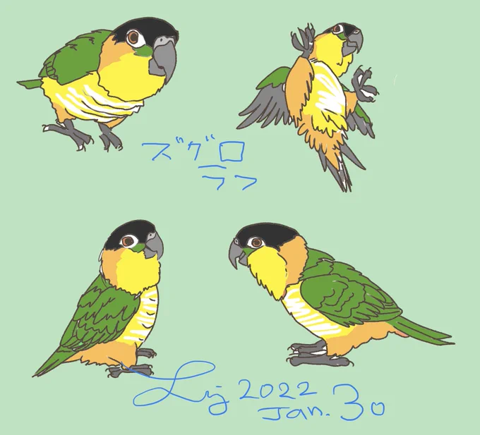 ラフ→完成もはや間違い探しこういうイラストは、資料に動画をお願いしています☆。.:*・゜…  