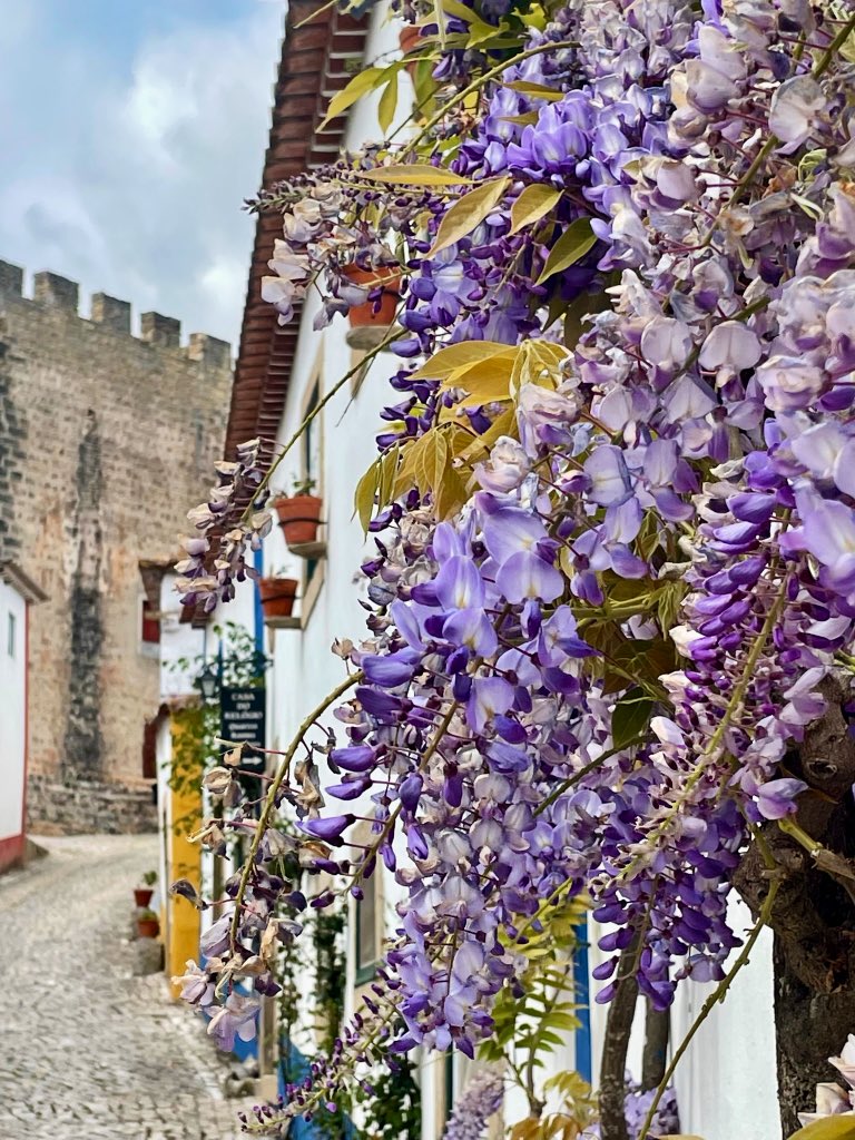 @archi_tradition @danflyingsolo We fell in love with Óbidos last year.