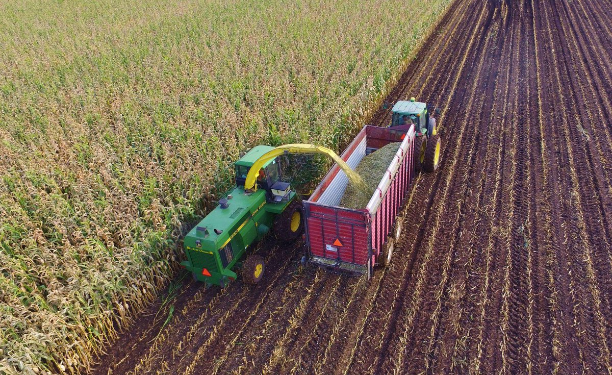 🤩 Michelle 🤩 tweet media