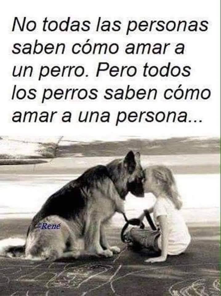 Buenos días Feliz viernes ✨💖