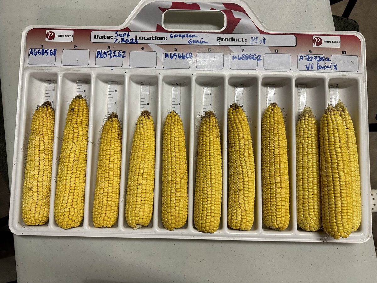 Great night to host our awesome customers!  Thanks to all who came out, cheers to a safe and prosperous harvest.  <a href="/PRIDESeeds/">PRIDE Seeds</a> <a href="/livnoorenberghe/">Olivia Noorenberghe</a> <a href="/CurtisVanrooy/">Curtis Vanrooy</a> <a href="/Brad_Hallock/">Brad Hallock</a>