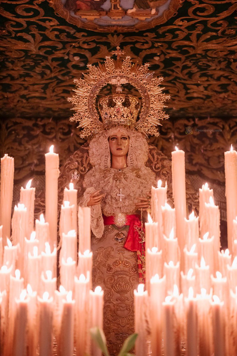 Canal Málaga RTV tweet media