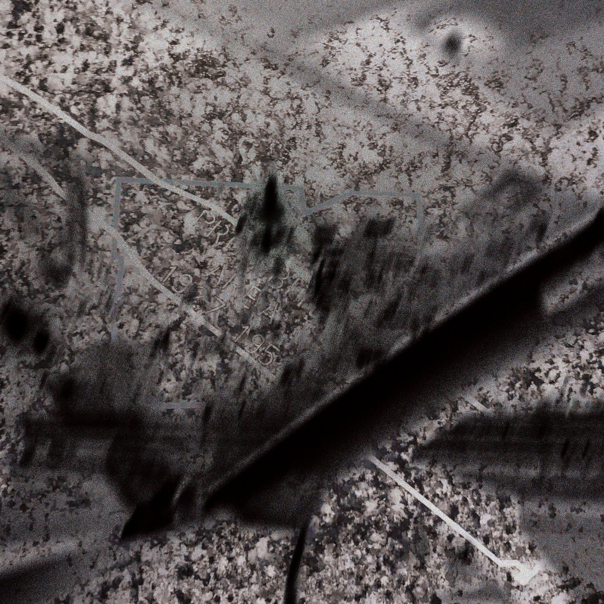 SLG Intl. tweet media