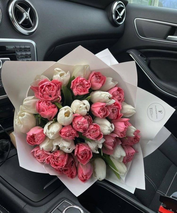 Pink &amp; White💖🤍