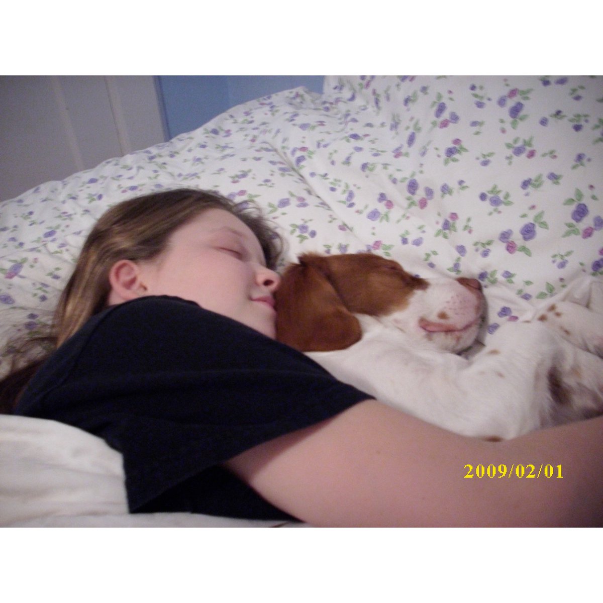 Allison Leah | folk-pop artist 🌸🌷 tweet media