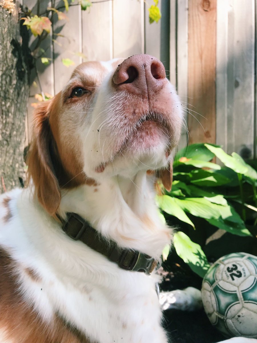 Allison Leah | folk-pop artist 🌸🌷 tweet media