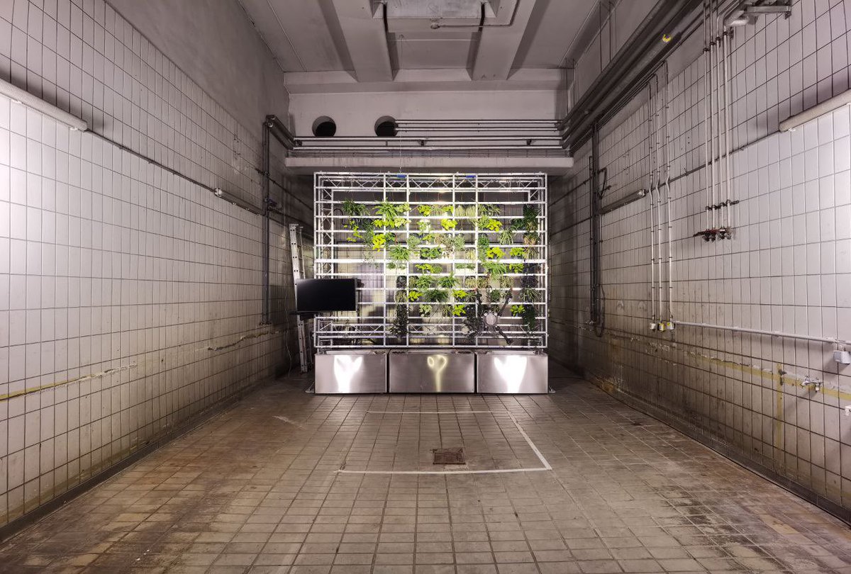 kapelicagallery's tweet image. Right at the entrance of the #postcity you can visit ‘StellaVerde’, inspirational prototype of precision garden as a possible scenario for sustainable food production. 
@Kersnikova + @JSI_SLO team is there all the time to give you more info.

@ArsElectronica #konS #challengelab