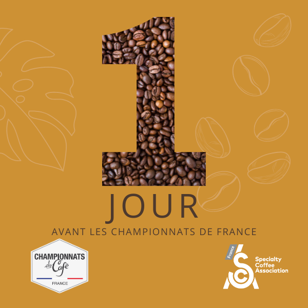 J-1 avant le coup d'envoi des Championnats de France du Café de la #SCAFrance ! 🏆🇫🇷

Rendez-vous au #pariscoffeeshow pour assister aux Championnats de #latteart et de #torréfaction. 🎉☕

Nous souhaitons bonne chance à tous nos candidats ! 🍀💪

<a href="/Collectif_Cafe/">Collectif Café</a> #cafedespecialite