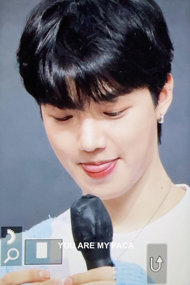 YOUAREMYPACA's tweet photo. 230908 팬싸

진짜 그래로였어

#임영민 #LIMYOUNGMIN @LYM_offcl https://t.co/PsjoIWNWun