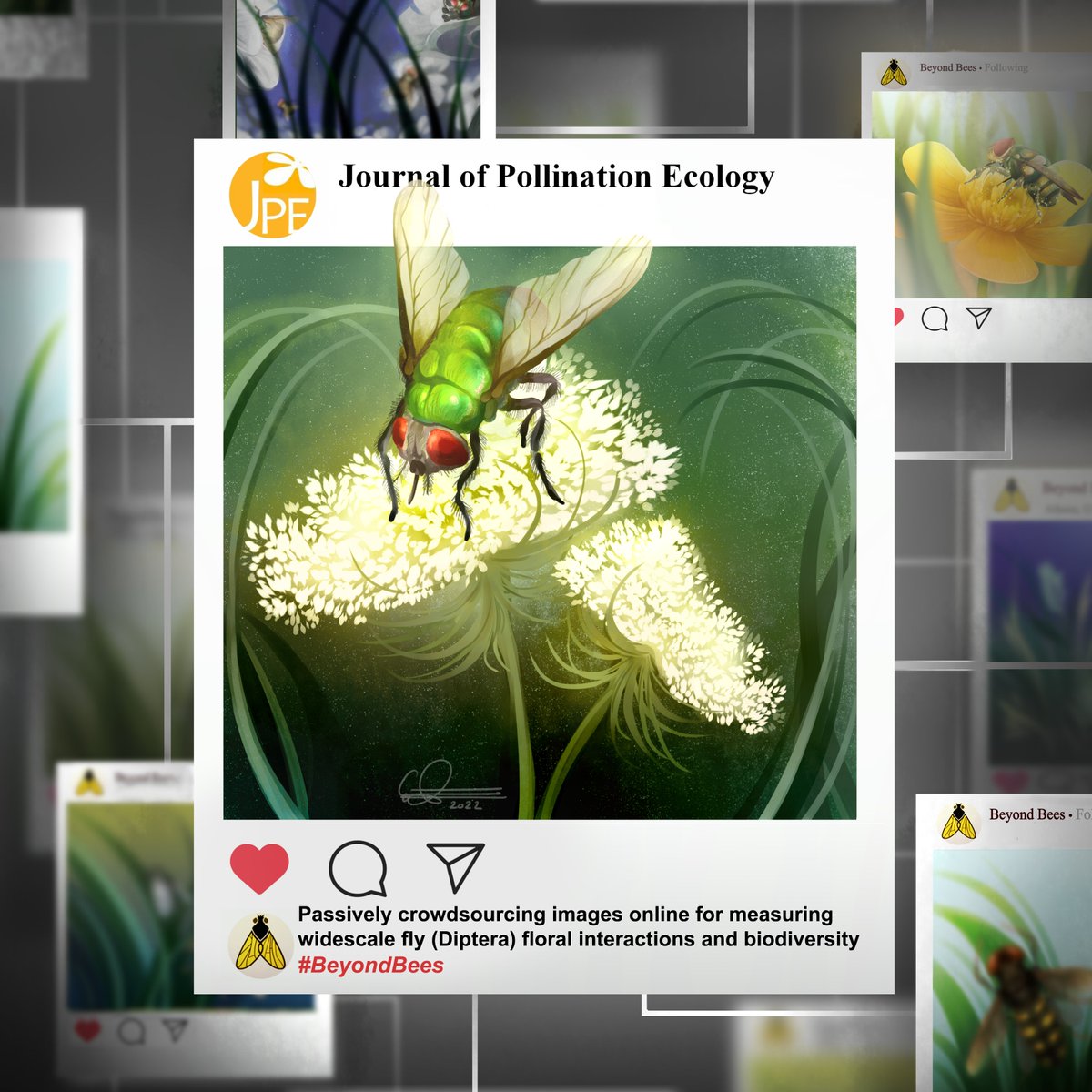 Dr. Bekka Brodie tweet media