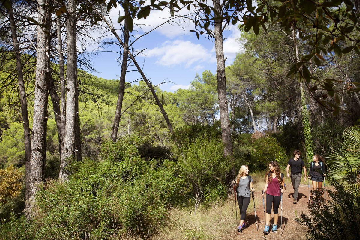 🏞 Descobreix els <a href="/GVAparcs/">GVA Parcs Naturals</a> de la Comunitat Valenciana

📣 Recorda complir les recomanacions 👇
♻ Sigues responsable dels teus residus
⚠ Camina per sendes senyalitzades
🐶 Porta la teua mascota lligada i recull els seus excrements

➡ parquesnaturales.gva.es

🌳 <a href="/GVAMediAmbient/">M.Ambient Infraestructures Territori i Recuperació</a>