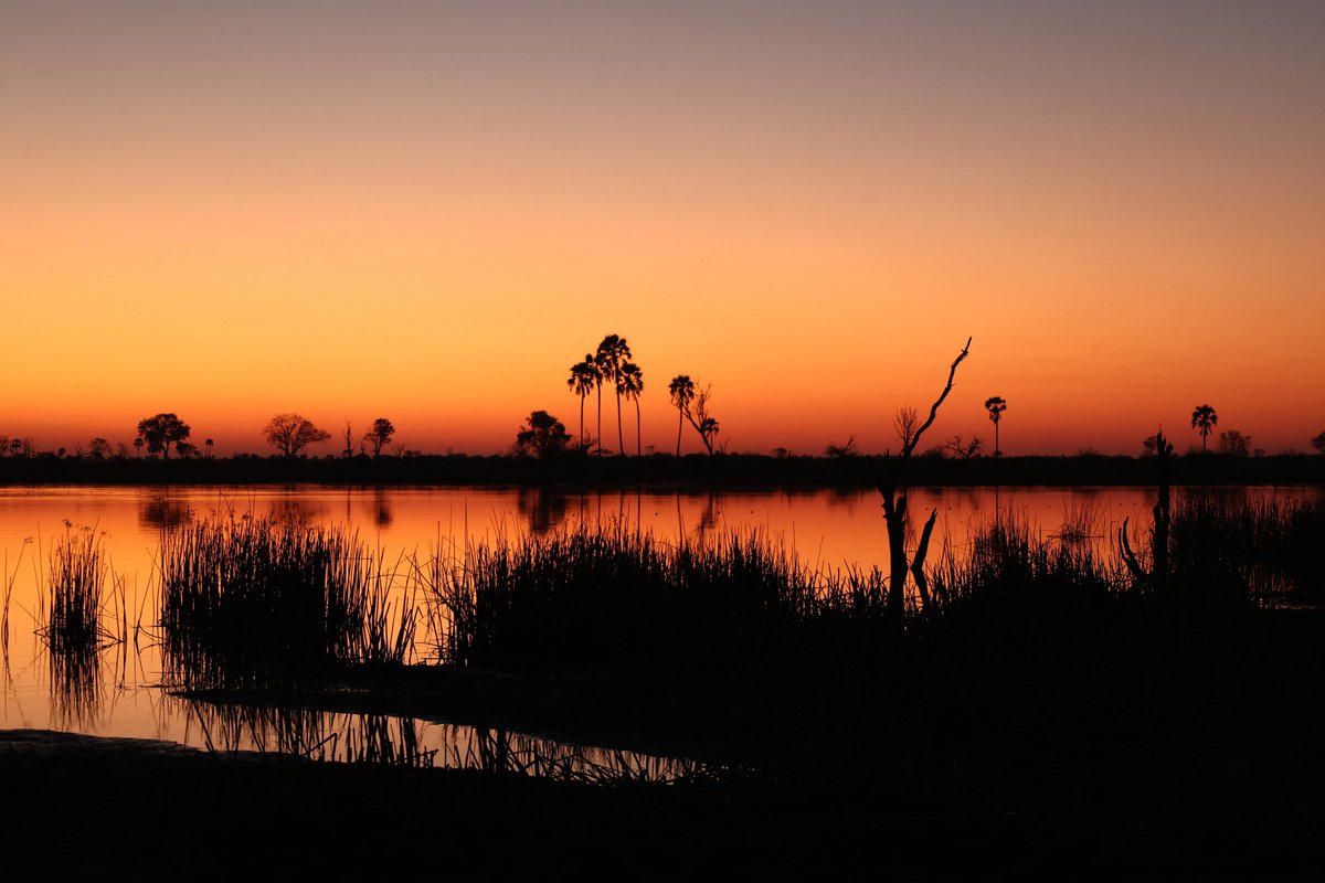 Tara Turkington tweet media