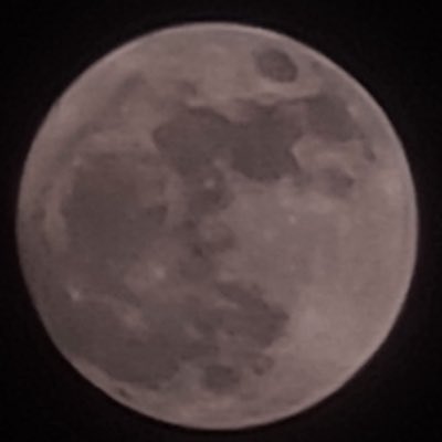 #NewProfilePic