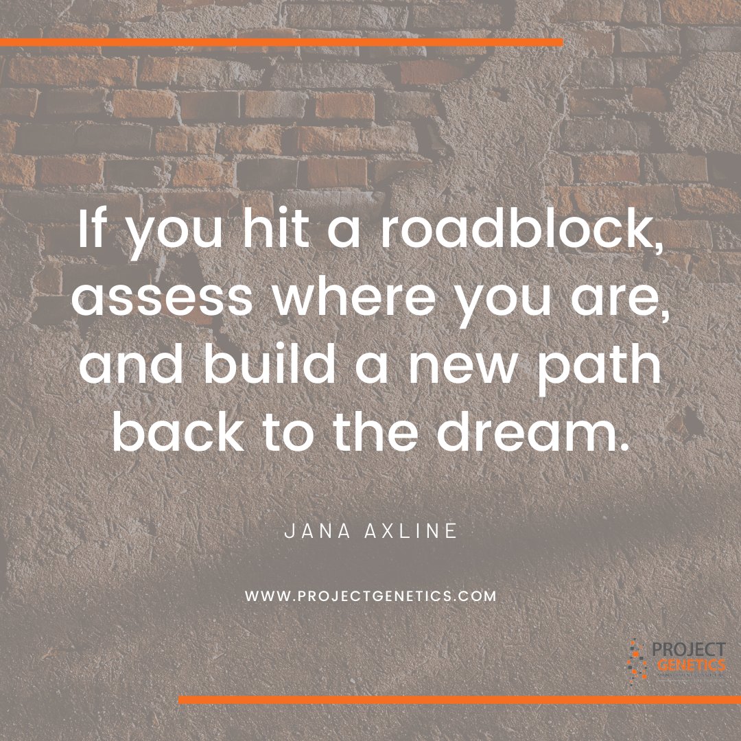 If you hit a roadblock, assess where you are, and build a new path back to the dream.