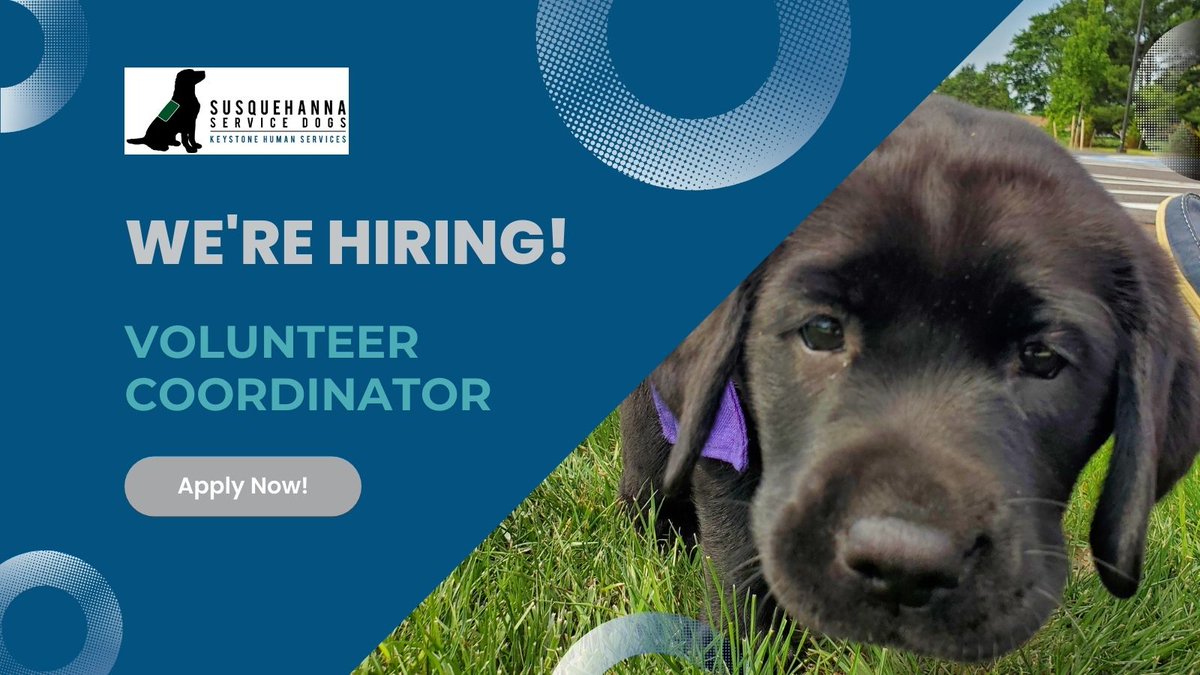 Join our team! We’re looking for a Volunteer Coordinator to work with our volunteers, the very heart of our organization. Visit the website to apply! Please share this post if you know someone who might be interested. …nehumanservices.wd5.myworkdayjobs.com/KHS_Careers/jo…