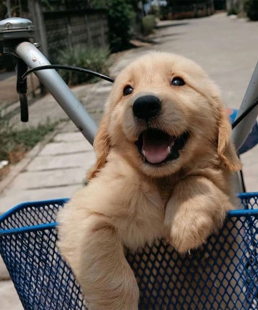 So adorable 🥰