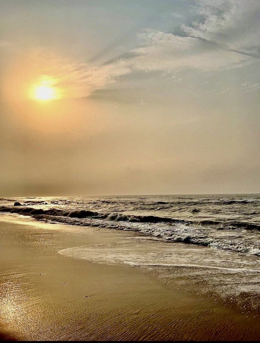 GetAfterIt4U's tweet photo. May you have “FriYAY!”-vibin’ thoughts filled with serene imagery of golden rays☀️, sound of the surf🌊 , a light breeze 🌬️ against your skin, &amp; gritty-turned-soft feeling of wet sand🏖️ between your toes while strolling.

Happiest Friday to Y’all! 🤙🏼😊

#GoWhereYouFeelMostAlive https://t.co/xs1PFo9a88