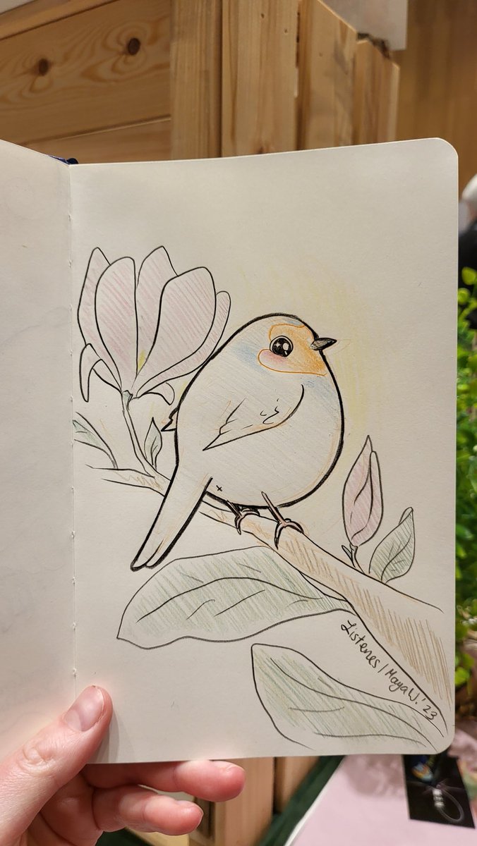 Conhons I drew at #connichi