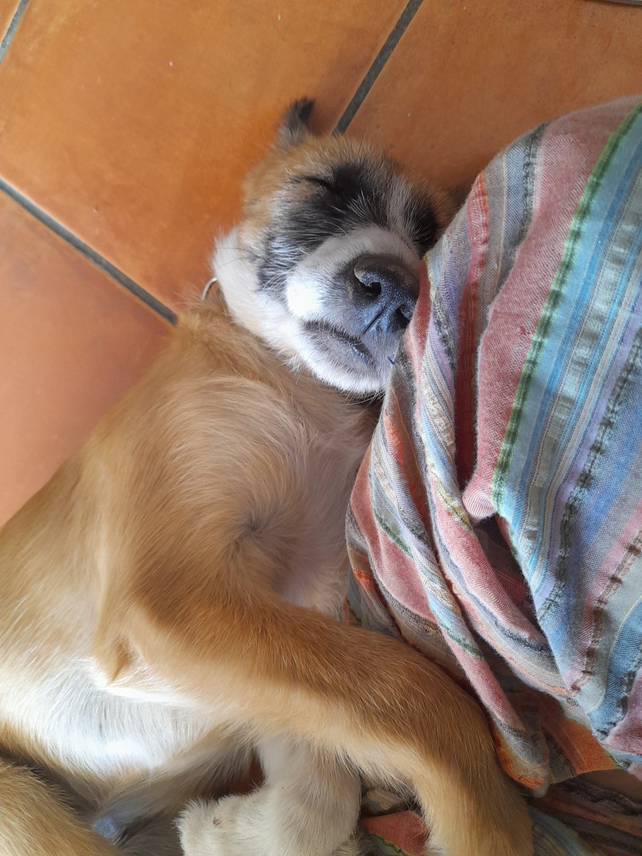 bnegrop_'s tweet photo. Teef https://t.co/fDkF3yRoHK