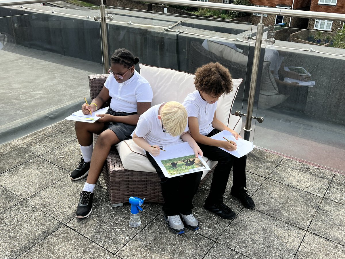 Elm - Foxfield tweet media